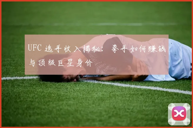 UFC 选手收入揭秘：拳手如何赚钱与顶级巨星身价