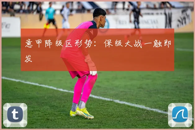 意甲降级区形势：保级大战一触即发